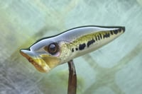 Image 3 of  SPEEDBAITS Custom Airbrushed Topwater Popper 5165