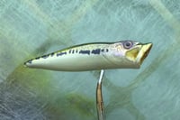 Image 11 of  SPEEDBAITS Custom Airbrushed Topwater Popper 5165