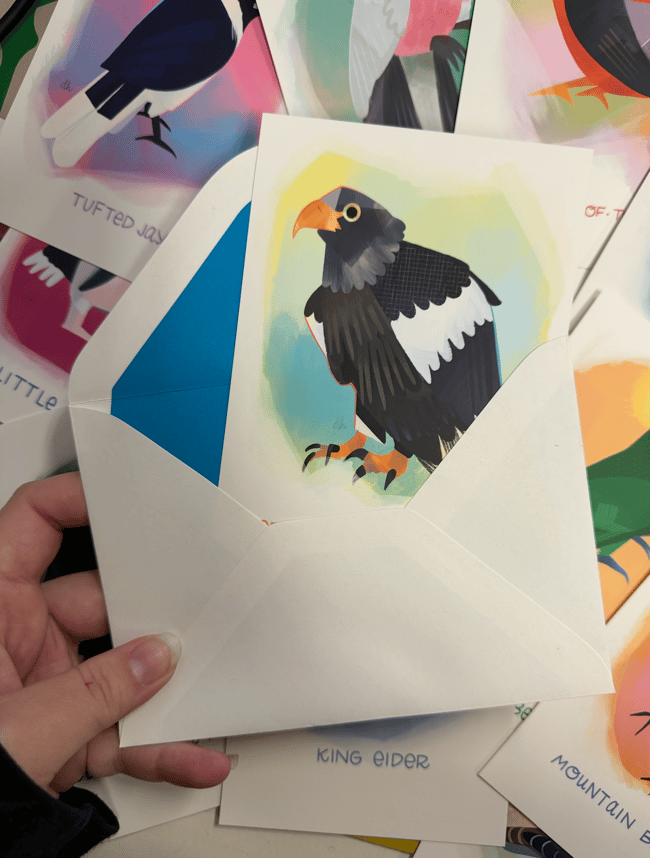 31 days of Birds! notecards & envelopes (sets & singles)