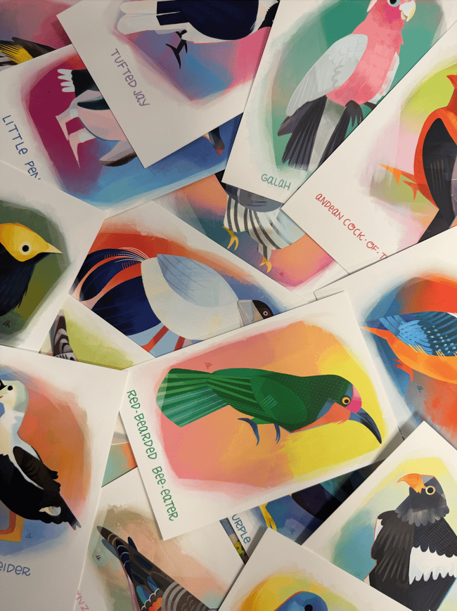 31 days of Birds! notecards & envelopes (sets & singles)