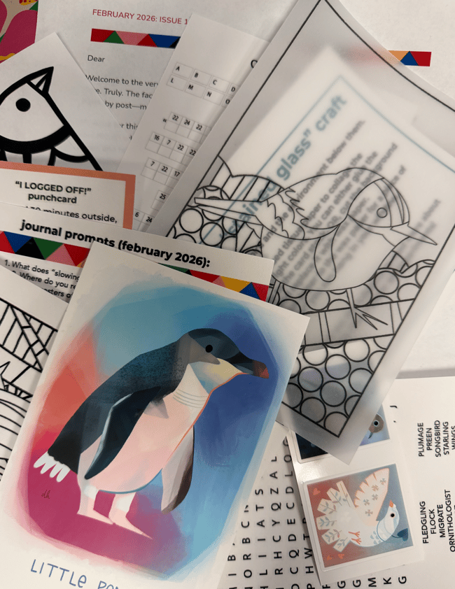 The Cozy COO-llective snail mail club (6 month and 1 year subscriptions)