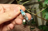 Image 2 of Pigeon family earrings