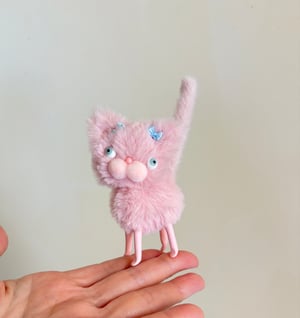 Image of Pinky the Tiny Sweetheart Kitten