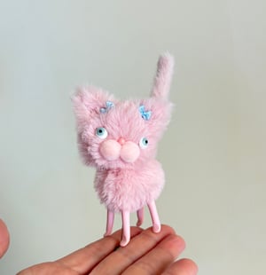 Image of Pinky the Tiny Sweetheart Kitten