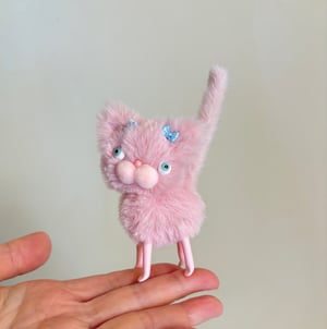 Image of Pinky the Tiny Sweetheart Kitten