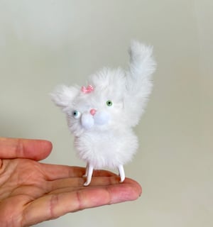 Image of Snowball the Tiny Sweetheart Kitten