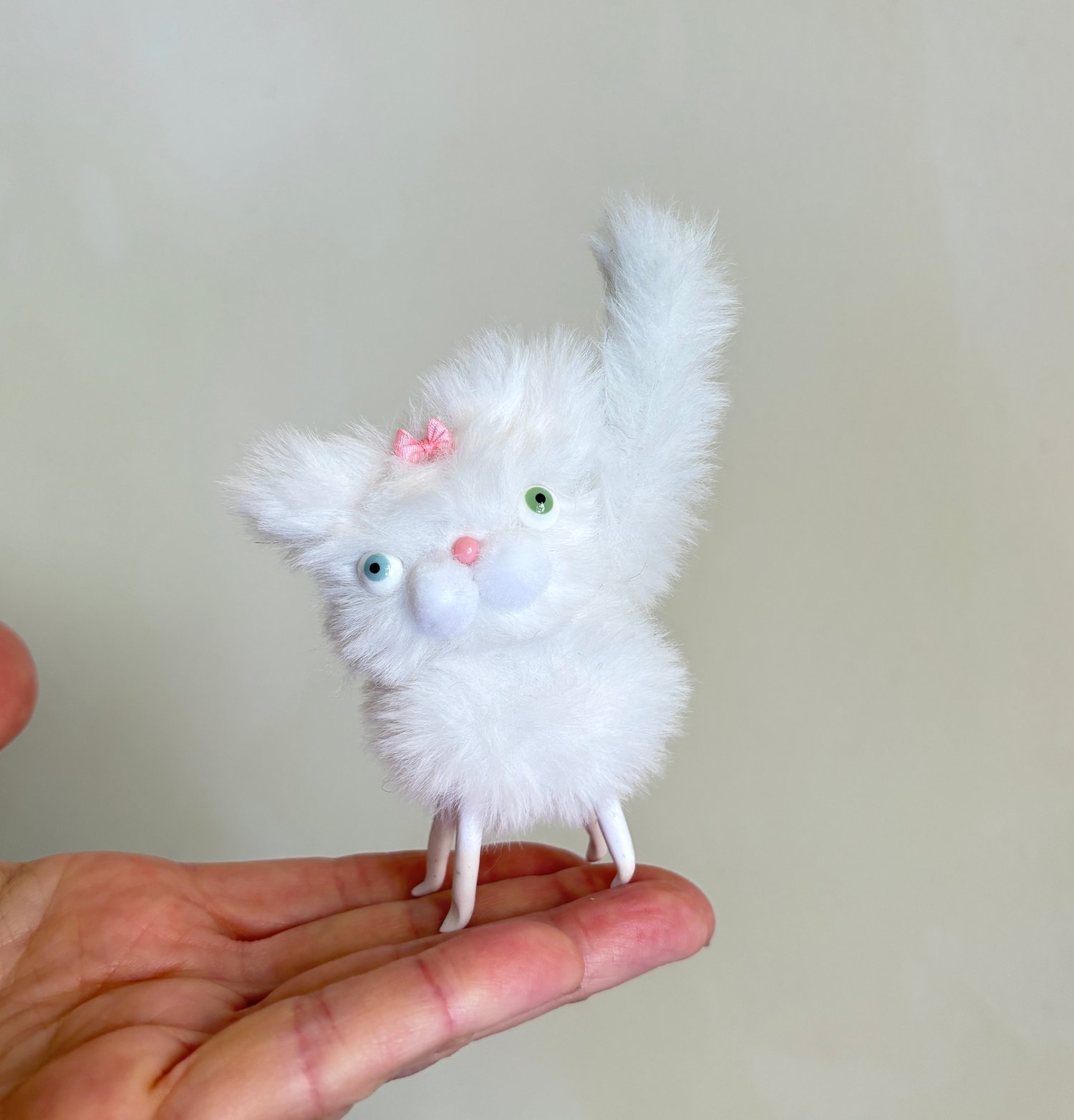 Image of Snowball the Tiny Sweetheart Kitten