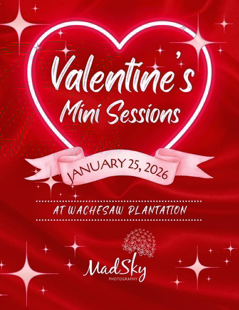 Image of DEPOSIT FOR A VALENTINE MINI SESSION
