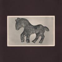 Image 1 of Roman Horse Postcard