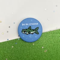 Bul bul istnienia pin 