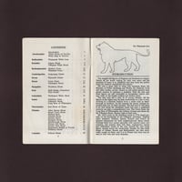 Image 2 of Discovering Hill Figures