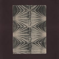 Image 8 of Medieval Carvings in Exeter Cathedral