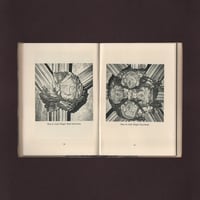 Image 5 of Medieval Carvings in Exeter Cathedral