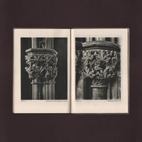 Image 4 of The Leaves of Southwell