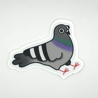 Sitting Pigeon Sticker