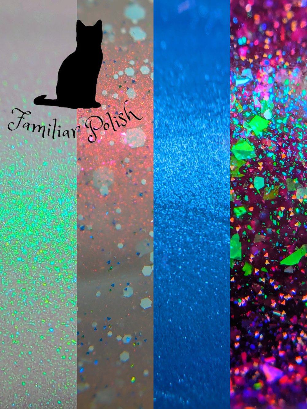 Image of The Midwinter Collection 