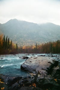 Image 5 of Fall Film Enlargements