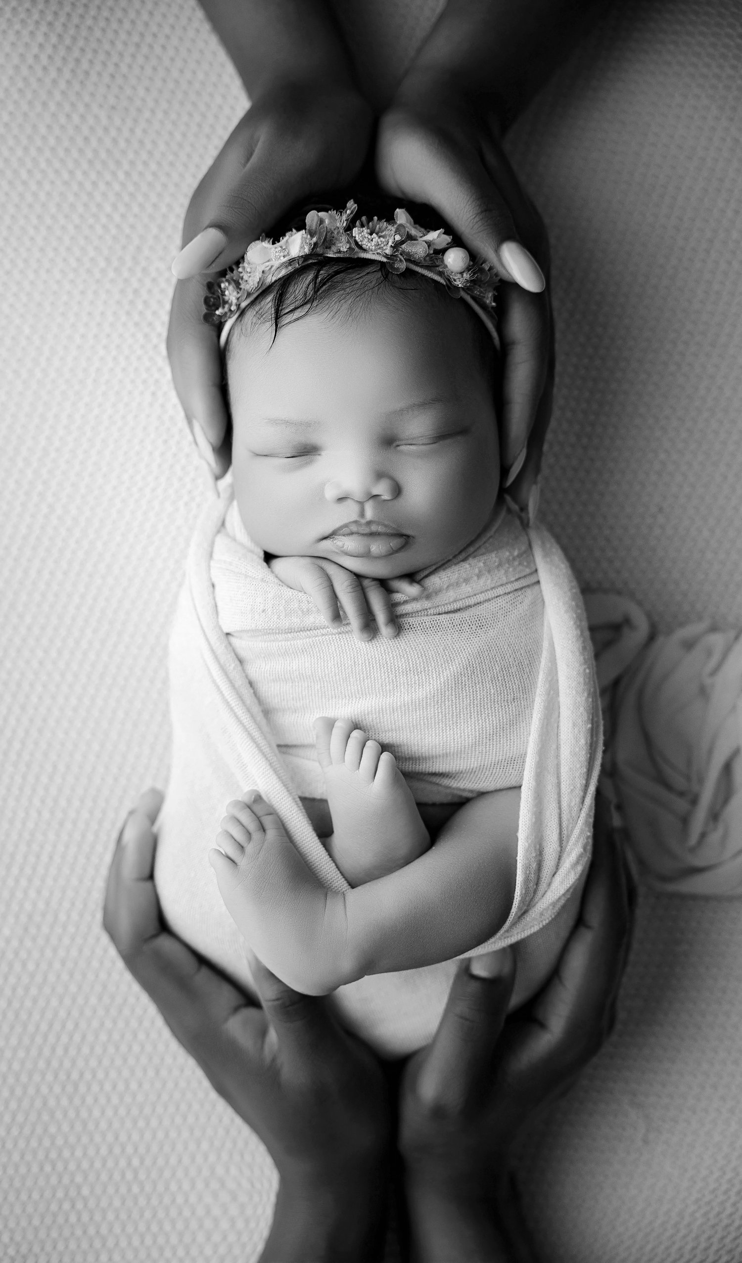 Image of February Due Date session fee - $38