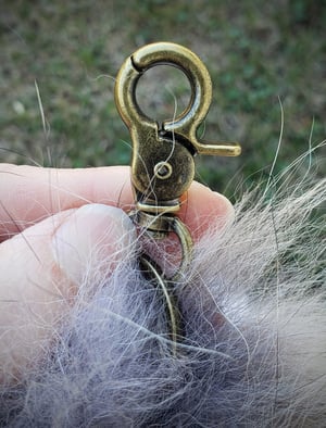 Image of Coywolf Tail