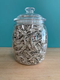 Sacred White Sage Leaves