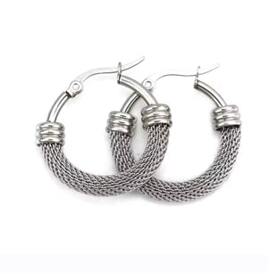 Image of Silver Luxe Earrings 