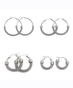 Image of Silver Luxe Earrings 