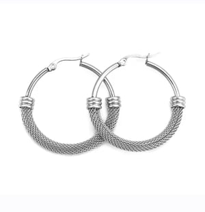 Image of Silver Luxe Earrings 