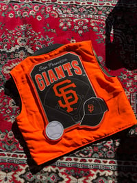 Image 4 of The “In Season Off Season” Vest
