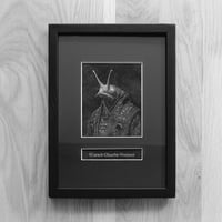 Image 1 of Portrait de Sl'uræsh Glaashir Shaalum