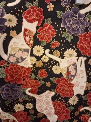 Image of Monica/ oriental cats  