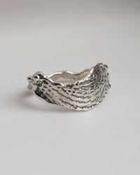 Image 2 of sepia ring |