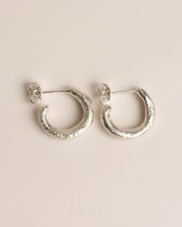 Image 1 of structured hoops |