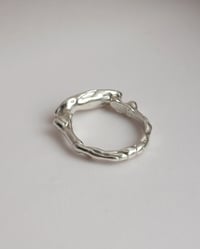 Image 2 of shell fragment ring