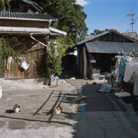 Katherine Longly - Cat Island Blues 03