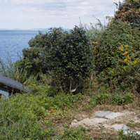 Katherine Longly - Cat Island Blues 04