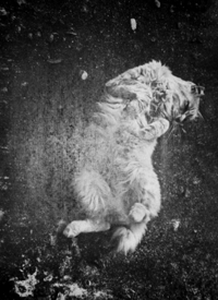 Katherine Longly - Cat Island Blues 17