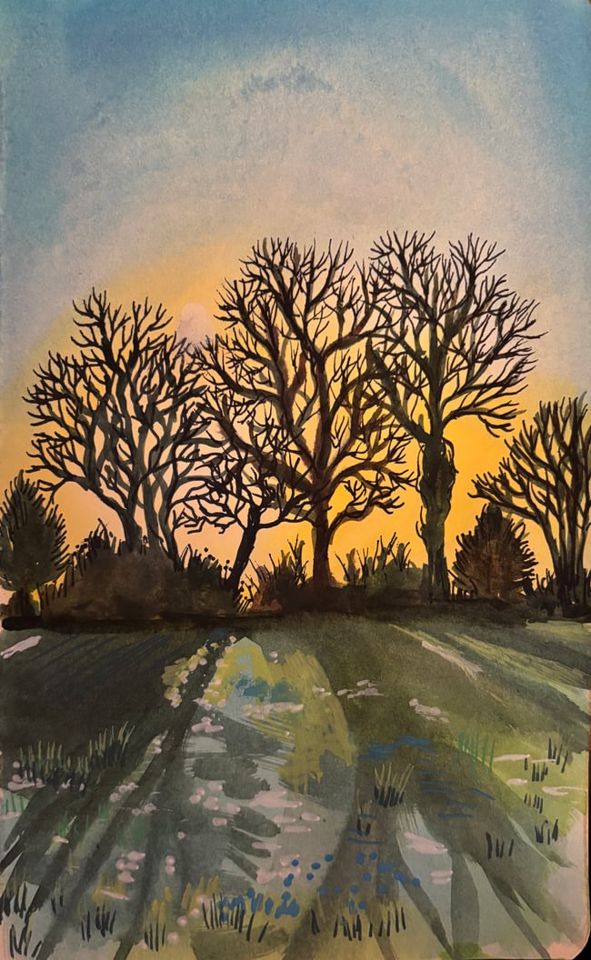 Winter Sun Tree Line print