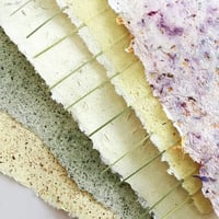 Image 3 of Curious Clare: 'Distilling the Rainbow'- Botanical Paper Making workshop. 