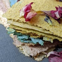 Image 2 of Curious Clare: 'Distilling the Rainbow'- Botanical Paper Making workshop. 