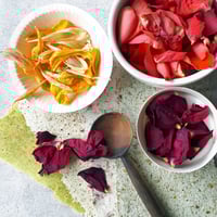 Image 1 of Curious Clare: 'Distilling the Rainbow'- Botanical Paper Making workshop. 