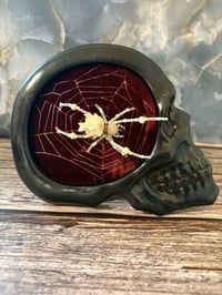 Image 4 of The Bone Collection