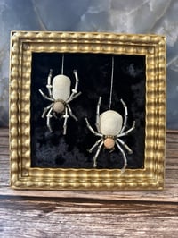 Image 5 of The Bone Collection