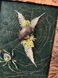 Image 3 of The Bone Collection