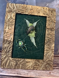 Image 2 of The Bone Collection