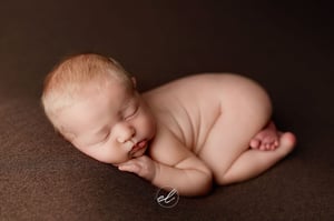 Image of Hickory Set