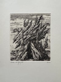 François HOUTIN - Nymphée IV