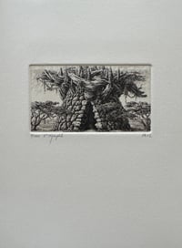 François HOUTIN - Nymphée II