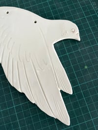 Image 4 of  Palomas B