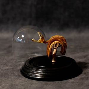 Image of Mummified Green Tree Python Baby