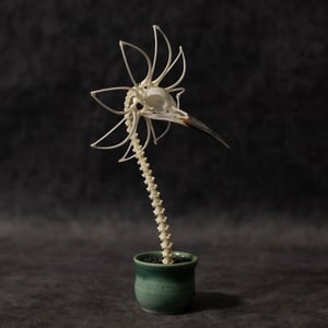 Image of Bee-Eater Skella-Daisy